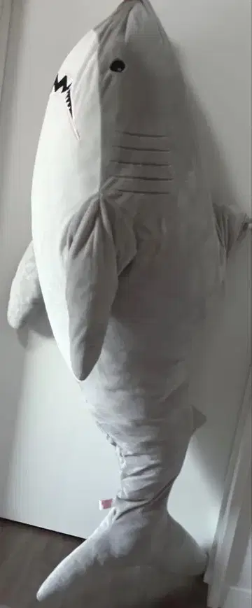 커다란 상어 봉제 인형 140cm GIGASHARK