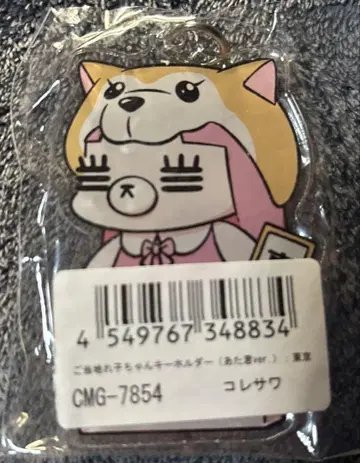 코레사와 레코짱 키링 고토치 도쿄