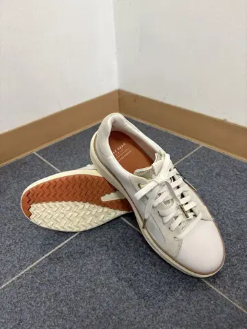 골프화 콜한 유나이티드 애로우즈 24cm
