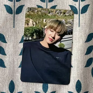 StrayKids 스키즈 GOLIVE GO SUBK 창빈 트레이딩 카드