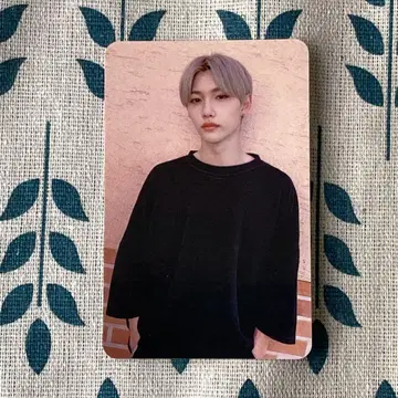 StrayKids 스키즈 GOLIVE GO SUBK 필릭스 트레이딩 카드