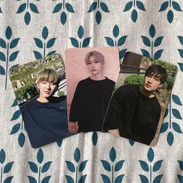 StrayKids 스키즈 GOLIVE GO SUBK 3장 트레이딩 카드