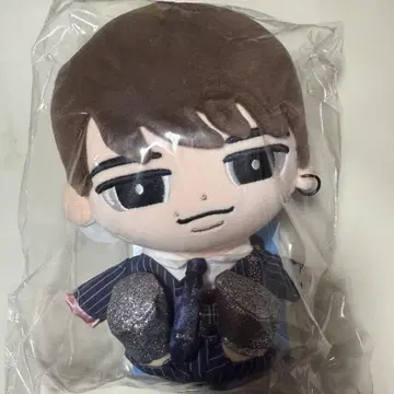 스노우 칠 봉제 인형 와타나베 쇼타 2개 세트 칠