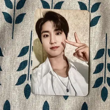 StrayKids 매장 혜택 IN Applemusic 트레이딩 카드 한