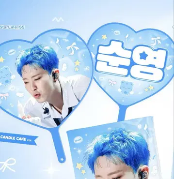 호시 마스터 부채
