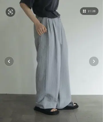 anuke Sheer Stripe Pants