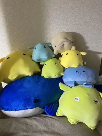 컬러풀한 바다 생물 봉제 인형 세트