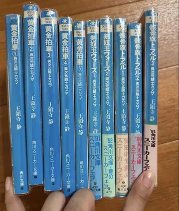 낱개 판매 불가 이차원 기사 카즈마 전 10권