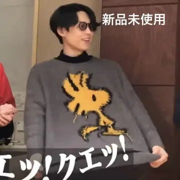 미사용 새상품 마츠무라 호쿠토 착용 ZARA 우드스탁 니트