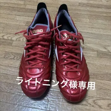 모렐리아 네오 4
