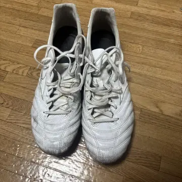 모나르시다 네오 2