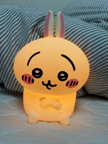 치이카와 룸 라이트 토끼