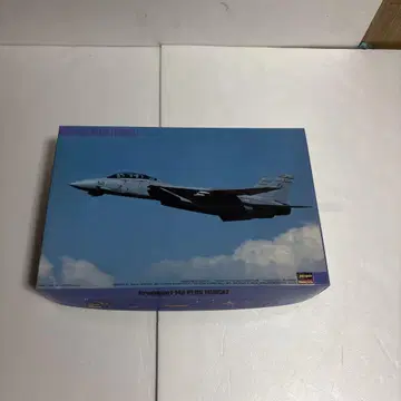 Hasegawa 1/72 Grumman F-14A Plus Tomcat