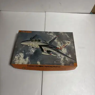 F-14 TOMCAT 1/72 하세가와