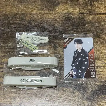 SEVENTEEN RIGHT HERE 캡슐 토이 아크릴 키링 러버 밴드
