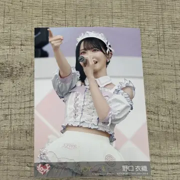 이코노이 조이 2024 봉입 노구치 이오리
