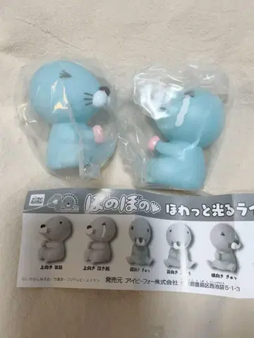 따스하고 포근하게 빛나는 라이트