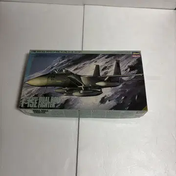 하세가와 1/72 F-15E 듀얼 롤 파이터