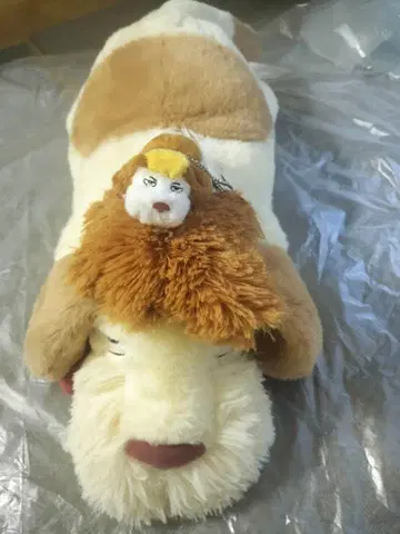 지브리 파크 힌 + 마스코트 힌 봉제 인형 하울의 움직이는 성