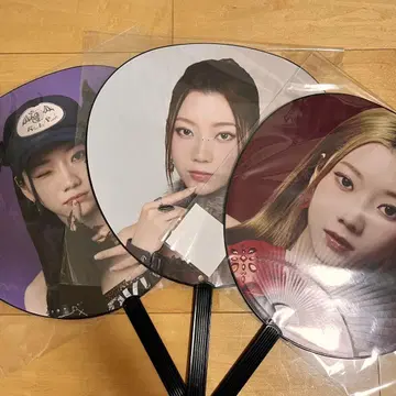 사카구치 리노 부채 묶음 판매