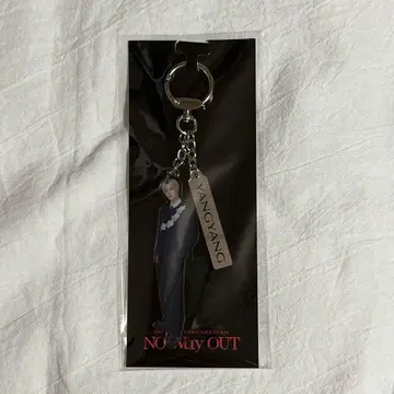 WayV 양양 아크릴 키링