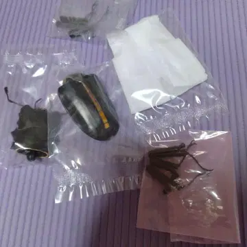 생물대도감 어드밴스 기라파 톱사슴벌레 케이스케이 곤충 피규어