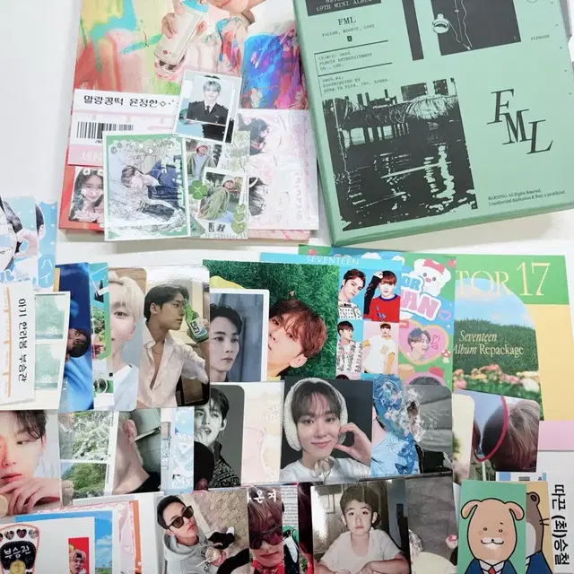 세븐틴 공굿 비공굿 나눔