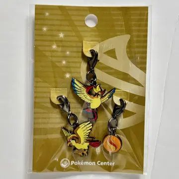 포켓몬 메탈 참 메가피죳토 피죳토 메가스톤