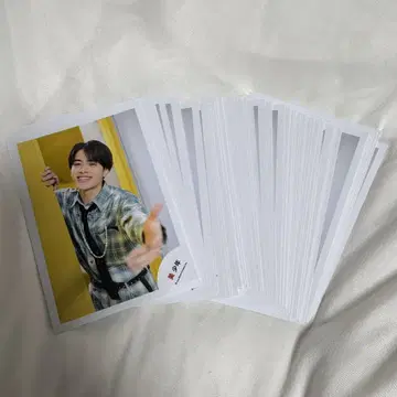 카나사시 잇세이 공식 사진 100장
