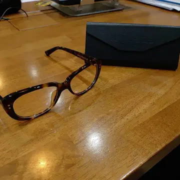 BLACK FLYS FLY LOGAN 케이스 포함 조광 렌즈