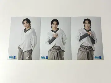 사쿠라기 마사야 생사진