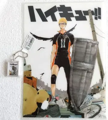 하이큐 JC 커버 클리어 파일 코믹 참 19권 츠키시마 케이