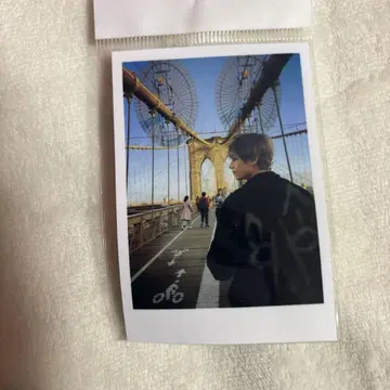 BTS 태태 엽서 폴라로이드