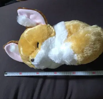 키나코 춋콘토 여우 큐르른토 오네무 울트라 BIG 봉제 인형 50cm