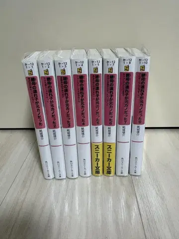 새어머니의 의붓동생이 전 여자친구였던 전 8권 세트