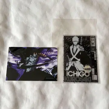 BLEACH 블리치 쿠로사키 이치고 클리어 카드 엽서 세트