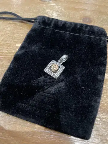 푸에르타 델 솔 로즈 장미 참