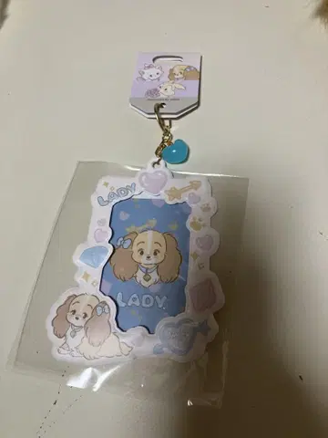 카드 홀더 완완 이야기 레이디