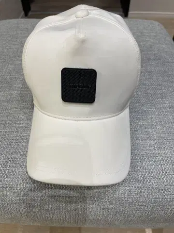 브리핑 캡
