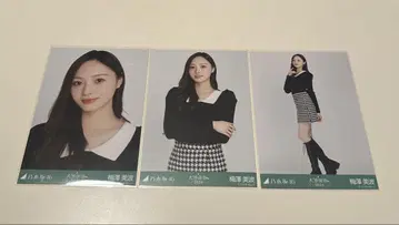 노기자카46 하운드투스 매실 우메자와 미나미 컴프