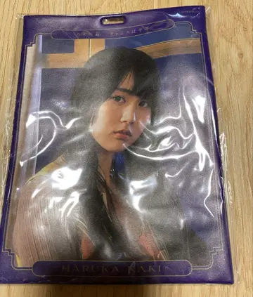 노기자카46 카키 하루카 캔뱃지 홀더