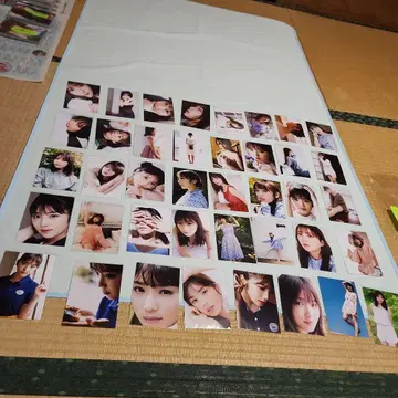 요다 유키 씨 L판 40장 노기자카46 뒷면에 영문자 기재 있음