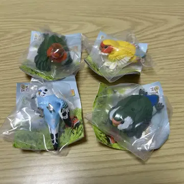 편안한 잉꼬 코자크라인코 A, B, 버튼잉꼬 A,  }
