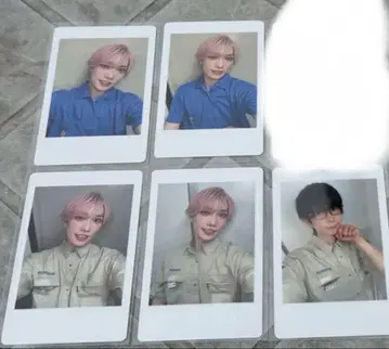팬더드래곤 하피카