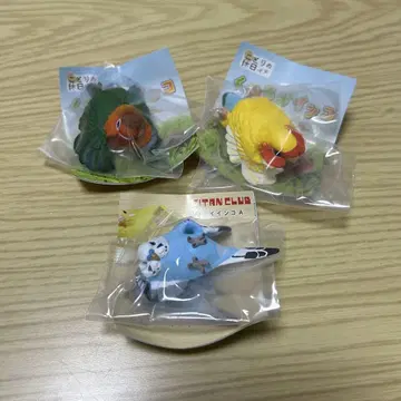 편안한 잉꼬 코자쿠라인코A 버튼잉코A 셰키세이잉코B 새의 휴일
