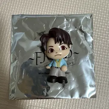Mrs.Green Apple 와카이 히로토 FJORD 랜덤 아이템