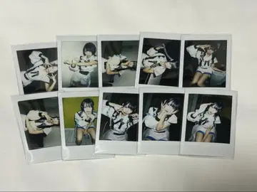 여명 상어 와나 폴라로이드