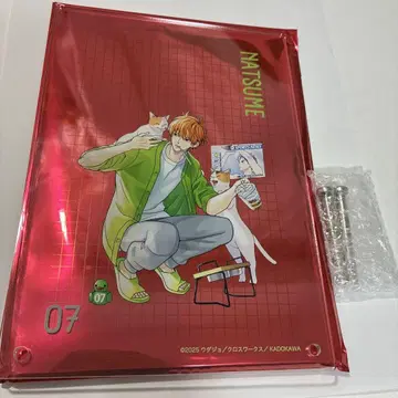 브라콤 스이파라 복권 A상 아크릴 아트 패널 나츠메