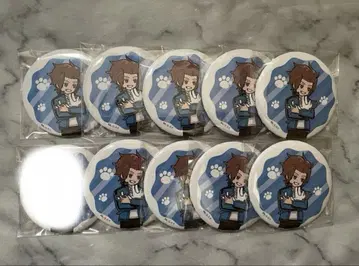 진유이 캔뱃지