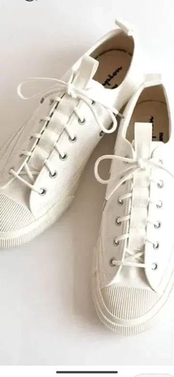 champion 챔피온 스니커즈